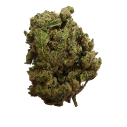 Gorilla Glue - FR