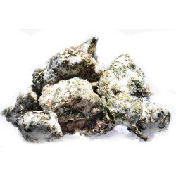 MoonRock White