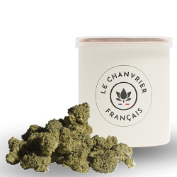 Petite fleur CBN