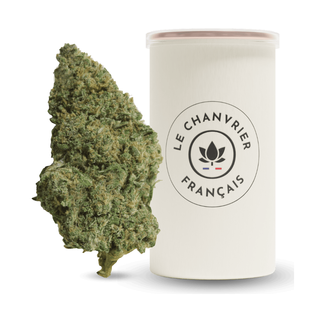 Amnesia Haze