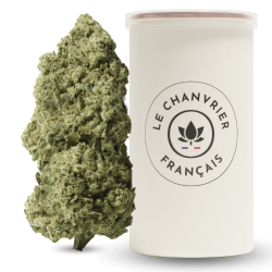 White Widow