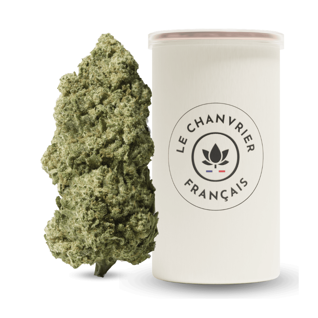 White Widow