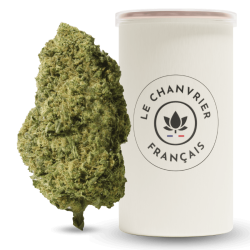 Lemon Skunk FR