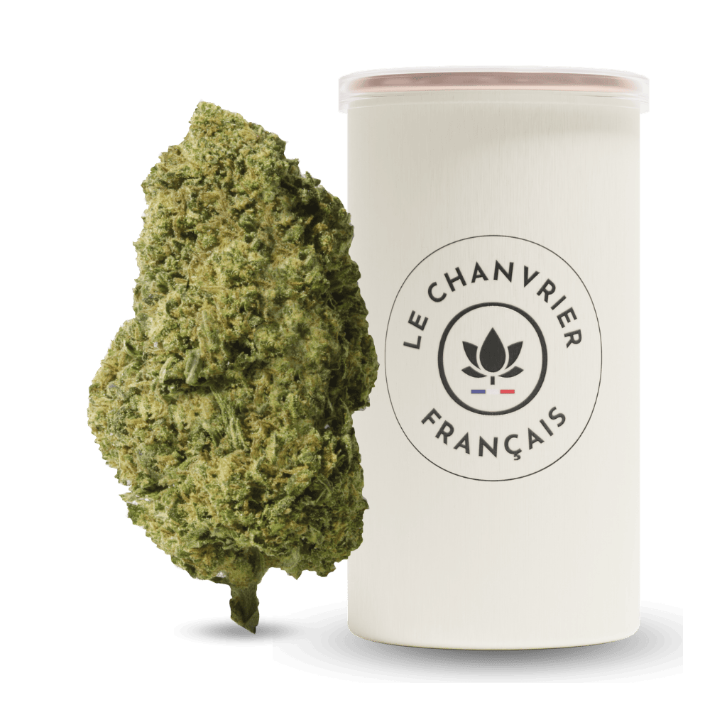 Lemon Skunk FR