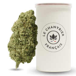 Cannatonic