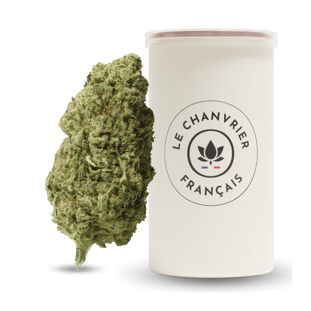 Cannatonic