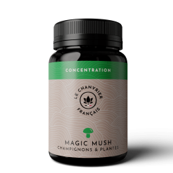 Magic Mush Concentration