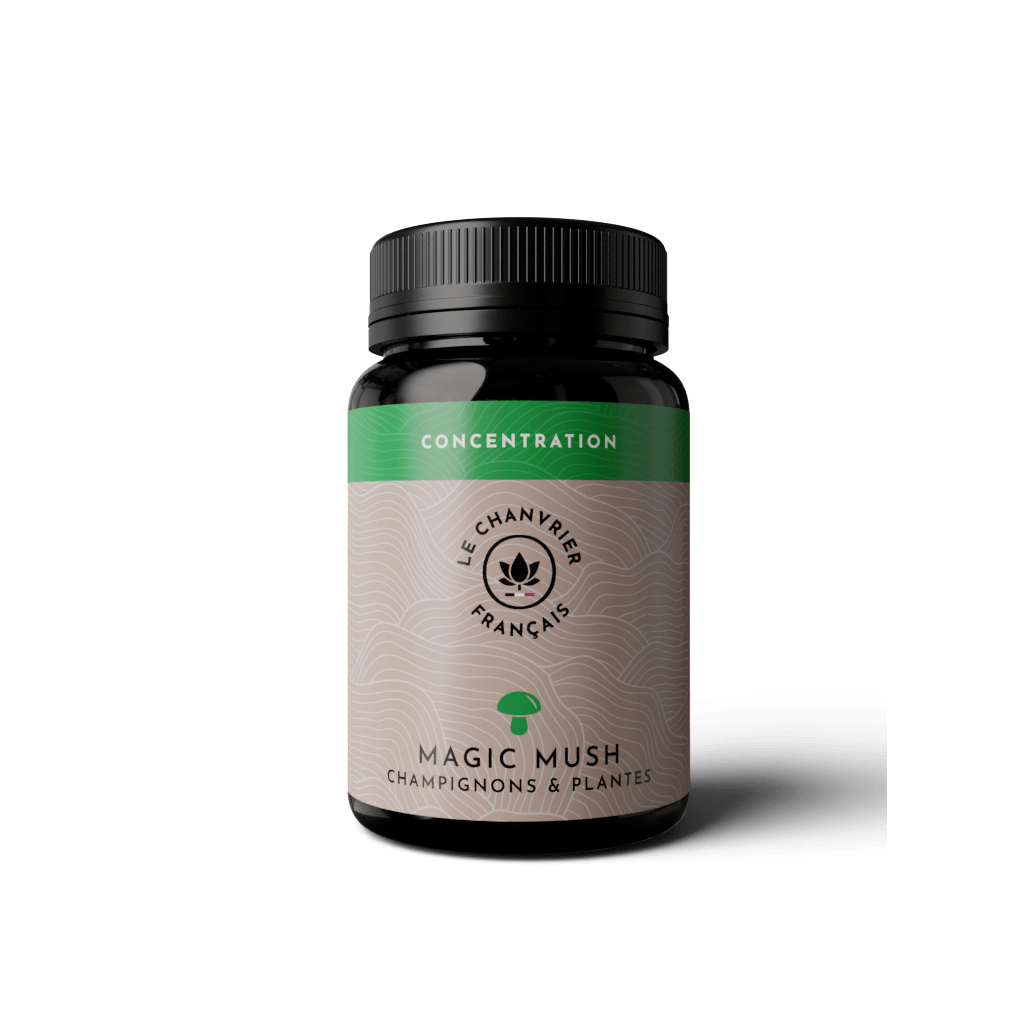 Magic Mush Concentration Magic Mush Concentration