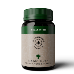 Magic Mush Relaxation