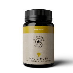Magic Mush Énergie