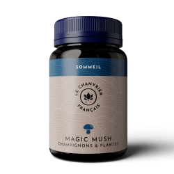 Magic Mush Sommeil