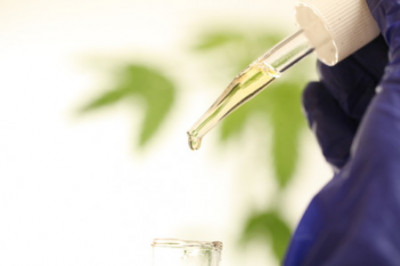 CBD et alcool : ce que disent réellement les études