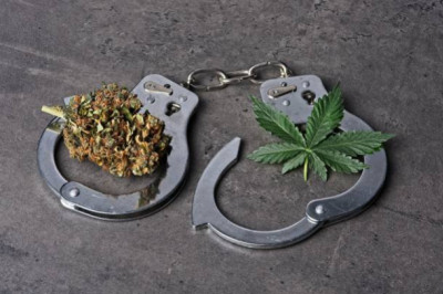 CBD et contrôle de police, ce que vous devez savoir