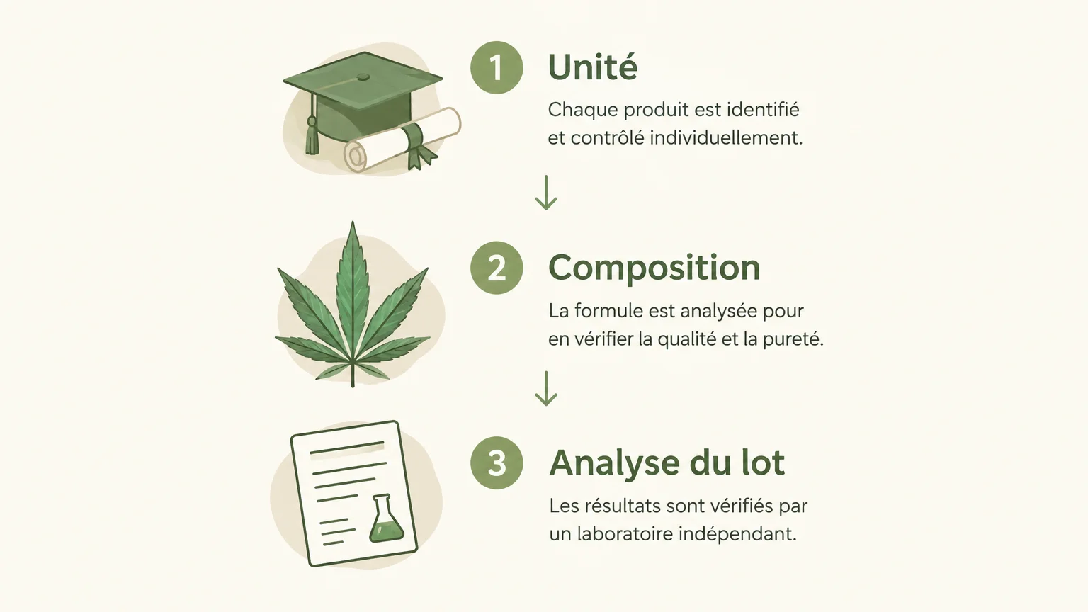 Infographie des trois vérifications : unité, composition et analyse du lot