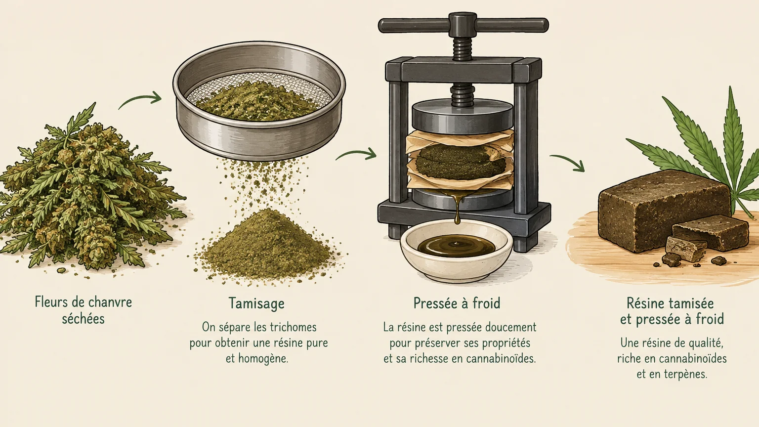 Illustrer l’exemple de résine tamisée et pressée à froid.
