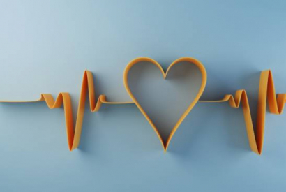 Le CBD provoque-t-il vraiment des troubles cardio-vasculaires ? 