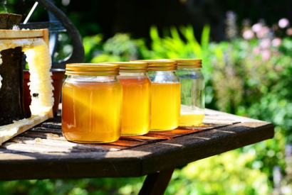 5 façons différentes de profiter des bienfaits du miel